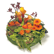 Modern &amp; Contemporary Posy Pad