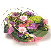 Vibrant Contemporary Posy Pad 