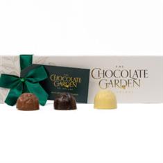 Artisan Selection of 6 Handmade Chocolates