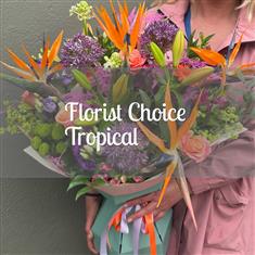 Florist Choice Tropical Arrangement