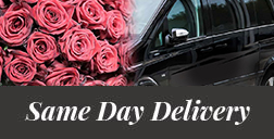 Same Day Delivery